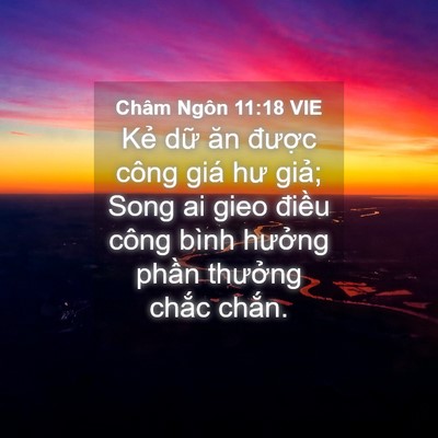 Picture 04 - Châm Ngôn 11:18 VIE - Kẻ dữ ăn được công giá hư giả; Song - Bible Verse Picture