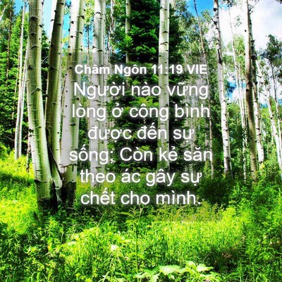 Picture 04 - Châm Ngôn 11:19 VIE - Người nào vững lòng ở công bình - Bible Verse Picture