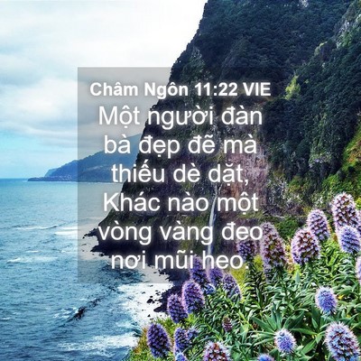 Picture 04 - Châm Ngôn 11:22 VIE - Một người đàn bà đẹp đẽ mà thiếu - Bible Verse Picture