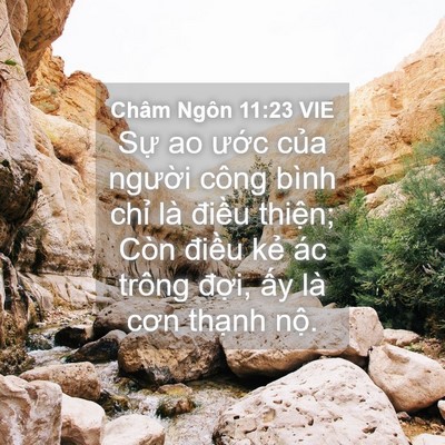 Picture 04 - Châm Ngôn 11:23 VIE - Sự ao ước của người công bình chỉ - Bible Verse Picture