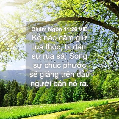 Picture 04 - Châm Ngôn 11:26 VIE - Kẻ nào cầm giữ lúa thóc, bị dân sự - Bible Verse Picture