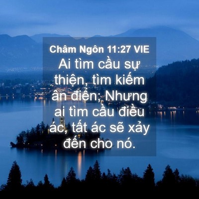 Picture 04 - Châm Ngôn 11:27 VIE - Ai tìm cầu sự thiện, tìm kiếm ân - Bible Verse Picture