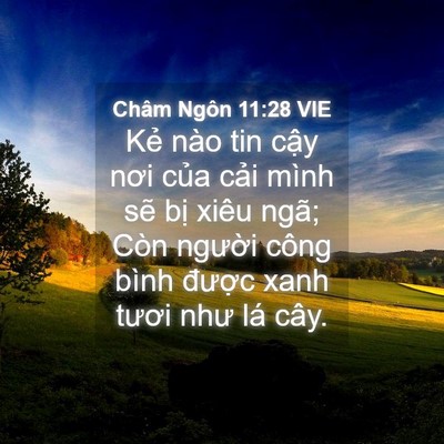 Picture 04 - Châm Ngôn 11:28 VIE - Kẻ nào tin cậy nơi của cải mình sẽ - Bible Verse Picture