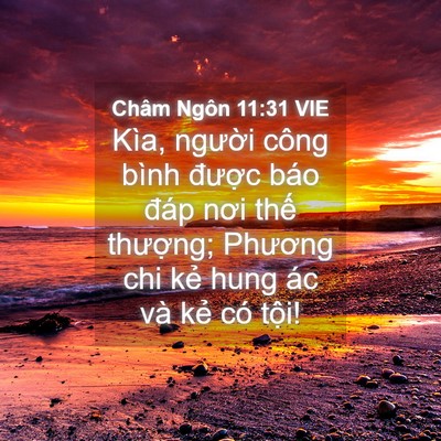 Picture 04 - Châm Ngôn 11:31 VIE - Kìa, người công bình được báo đáp - Bible Verse Picture