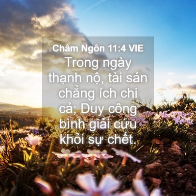 Picture 04 - Châm Ngôn 11:4 VIE - Trong ngày thạnh nộ, tài sản chẳng ích - Bible Verse Picture