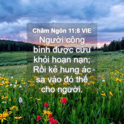 Picture 04 - Châm Ngôn 11:8 VIE - Người công bình được cứu khỏi hoạn - Bible Verse Picture