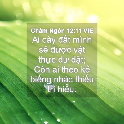 Picture 04 - Châm Ngôn 12:11 VIE - Ai cày đất mình sẽ được vật thực - Bible Verse Picture