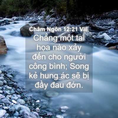 Picture 04 - Châm Ngôn 12:21 VIE - Chẳng một tai họa nào xảy đến cho - Bible Verse Picture