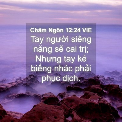 Picture 04 - Châm Ngôn 12:24 VIE - Tay người siêng năng sẽ cai trị; Nhưng - Bible Verse Picture