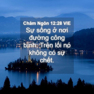 Picture 04 - Châm Ngôn 12:28 VIE - Sự sống ở nơi đường công bình; Trên - Bible Verse Picture