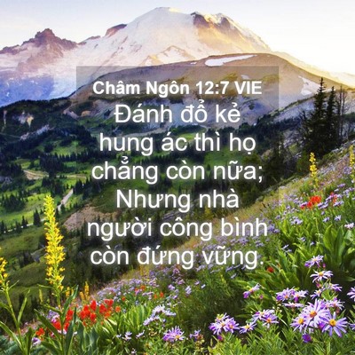Picture 04 - Châm Ngôn 12:7 VIE - Đánh đổ kẻ hung ác thì họ chẳng còn - Bible Verse Picture