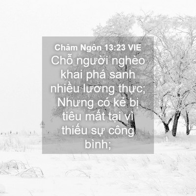 Picture 04 - Châm Ngôn 13:23 VIE - Chỗ người nghèo khai phá sanh nhiều - Bible Verse Picture