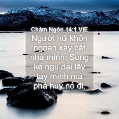 Picture 04 - Châm Ngôn 14:1 VIE - Người nữ khôn ngoan xây cất nhà mình; - Bible Verse Picture