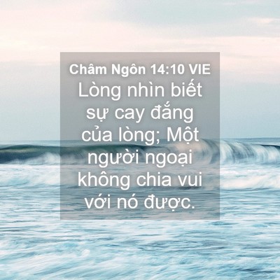 Picture 04 - Châm Ngôn 14:10 VIE - Lòng nhìn biết sự cay đắng của lòng; - Bible Verse Picture