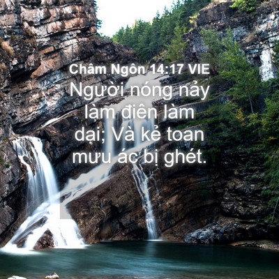 Picture 04 - Châm Ngôn 14:17 VIE - Người nóng nảy làm điên làm dại; Và - Bible Verse Picture