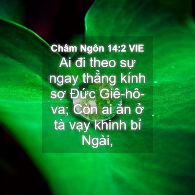 Picture 04 - Châm Ngôn 14:2 VIE - Ai đi theo sự ngay thẳng kính sợ Đức - Bible Verse Picture