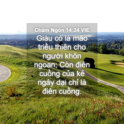 Picture 04 - Châm Ngôn 14:24 VIE - Giàu có là mão triều thiên cho người - Bible Verse Picture