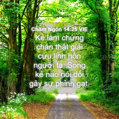 Picture 04 - Châm Ngôn 14:25 VIE - Kẻ làm chứng chân thật giải cứu linh - Bible Verse Picture