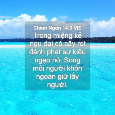 Picture 04 - Châm Ngôn 14:3 VIE - Trong miệng kẻ ngu dại có cây roi đánh - Bible Verse Picture