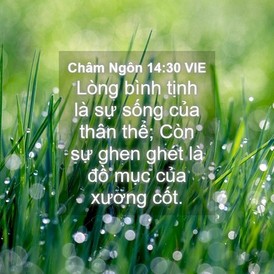 Picture 04 - Châm Ngôn 14:30 VIE - Lòng bình tịnh là sự sống của thân - Bible Verse Picture
