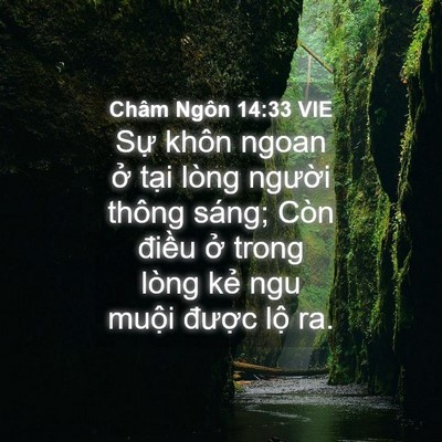 Picture 04 - Châm Ngôn 14:33 VIE - Sự khôn ngoan ở tại lòng người thông - Bible Verse Picture