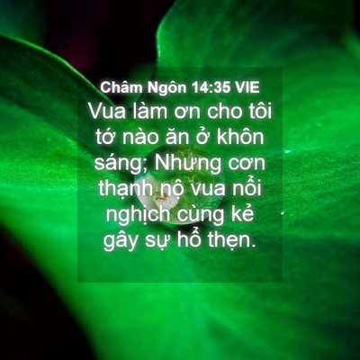 Picture 04 - Châm Ngôn 14:35 VIE - Vua làm ơn cho tôi tớ nào ăn ở khôn - Bible Verse Picture