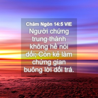 Picture 04 - Châm Ngôn 14:5 VIE - Người chứng trung thành không hề nói - Bible Verse Picture