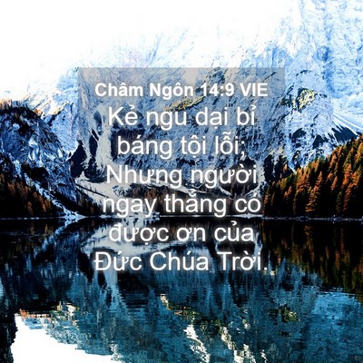 Picture 04 - Châm Ngôn 14:9 VIE - Kẻ ngu dại bỉ báng tội lỗi; Nhưng - Bible Verse Picture
