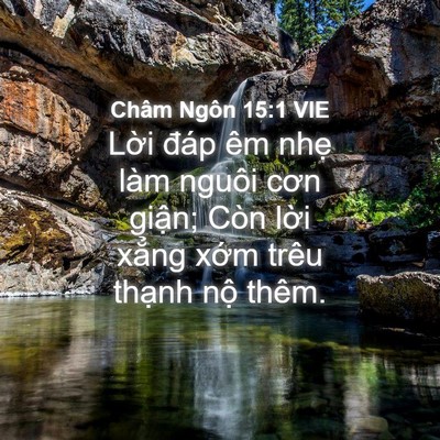 Picture 04 - Châm Ngôn 15:1 VIE - Lời đáp êm nhẹ làm nguôi cơn giận; - Bible Verse Picture