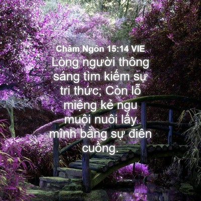 Picture 04 - Châm Ngôn 15:14 VIE - Lòng người thông sáng tìm kiếm sự tri - Bible Verse Picture