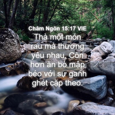 Picture 04 - Châm Ngôn 15:17 VIE - Thà một món rau mà thương yêu nhau, Còn - Bible Verse Picture