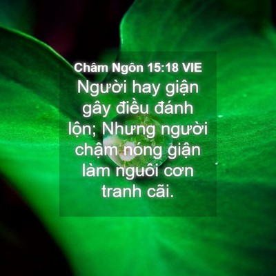 Picture 04 - Châm Ngôn 15:18 VIE - Người hay giận gây điều đánh lộn; - Bible Verse Picture