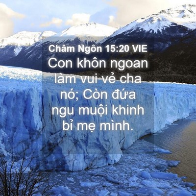 Picture 04 - Châm Ngôn 15:20 VIE - Con khôn ngoan làm vui vẻ cha nó; Còn - Bible Verse Picture
