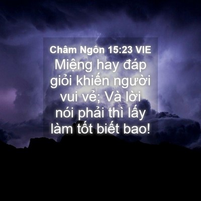 Picture 04 - Châm Ngôn 15:23 VIE - Miệng hay đáp giỏi khiến người vui - Bible Verse Picture