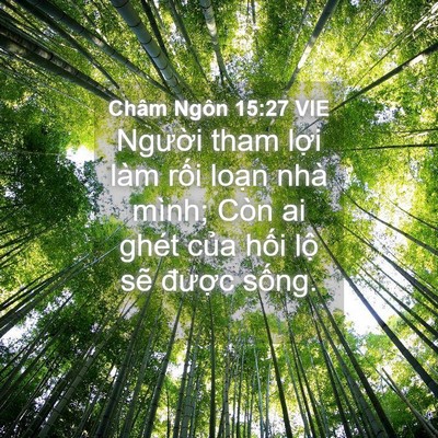 Picture 04 - Châm Ngôn 15:27 VIE - Người tham lợi làm rối loạn nhà mình; - Bible Verse Picture