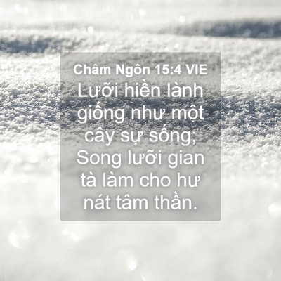 Picture 04 - Châm Ngôn 15:4 VIE - Lưỡi hiền lành giống như một cây sự - Bible Verse Picture