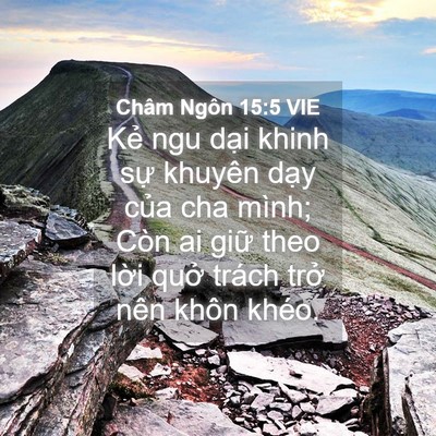 Picture 04 - Châm Ngôn 15:5 VIE - Kẻ ngu dại khinh sự khuyên dạy của cha - Bible Verse Picture