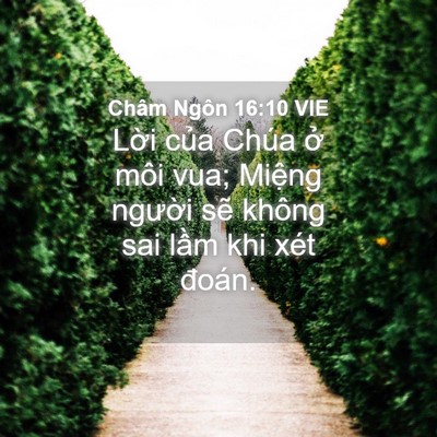 Picture 04 - Châm Ngôn 16:10 VIE - Lời của Chúa ở môi vua; Miệng người - Bible Verse Picture