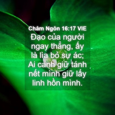 Picture 04 - Châm Ngôn 16:17 VIE - Đạo của người ngay thẳng, ấy là lìa - Bible Verse Picture