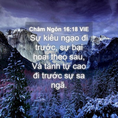 Picture 04 - Châm Ngôn 16:18 VIE - Sự kiêu ngạo đi trước, sự bại hoại - Bible Verse Picture
