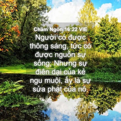 Picture 04 - Châm Ngôn 16:22 VIE - Người có được thông sáng, tức có - Bible Verse Picture
