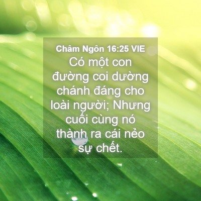Picture 04 - Châm Ngôn 16:25 VIE - Có một con đường coi dường chánh - Bible Verse Picture