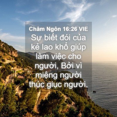 Picture 04 - Châm Ngôn 16:26 VIE - Sự biết đói của kẻ lao khổ giúp làm - Bible Verse Picture