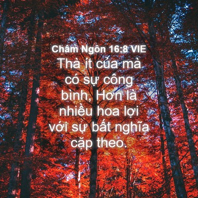 Picture 04 - Châm Ngôn 16:8 VIE - Thà ít của mà có sự công bình, Hơn là - Bible Verse Picture