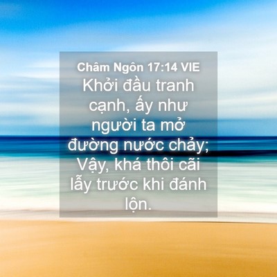 Picture 04 - Châm Ngôn 17:14 VIE - Khởi đầu tranh cạnh, ấy như người ta - Bible Verse Picture