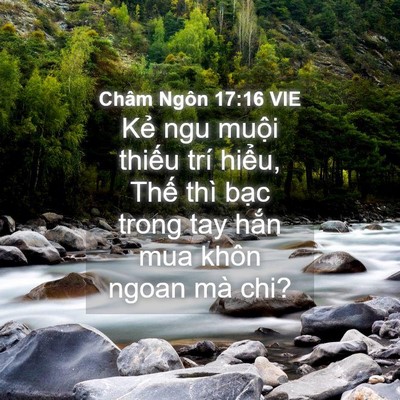Picture 04 - Châm Ngôn 17:16 VIE - Kẻ ngu muội thiếu trí hiểu, Thế thì - Bible Verse Picture