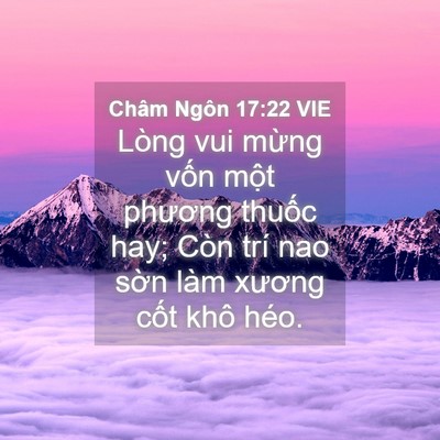 Picture 04 - Châm Ngôn 17:22 VIE - Lòng vui mừng vốn một phương thuốc - Bible Verse Picture