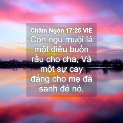Picture 04 - Châm Ngôn 17:25 VIE - Con ngu muội là một điều buồn rầu cho - Bible Verse Picture