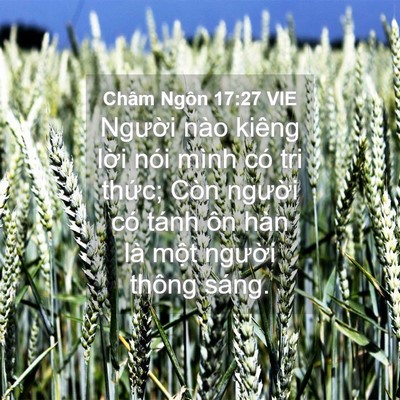 Picture 04 - Châm Ngôn 17:27 VIE - Người nào kiêng lời nói mình có tri - Bible Verse Picture