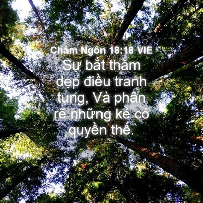 Picture 04 - Châm Ngôn 18:18 VIE - Sự bắt thăm dẹp điều tranh tụng, Và - Bible Verse Picture